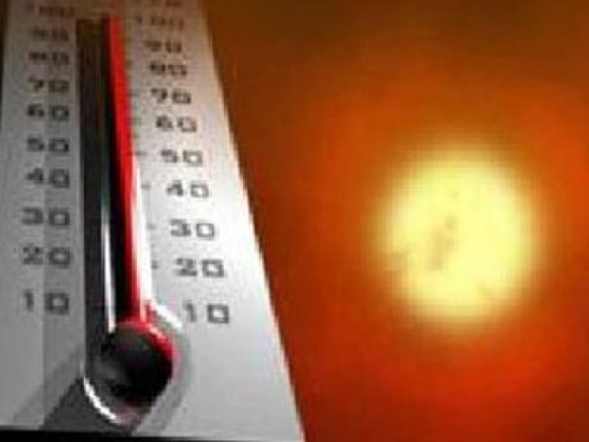 Υψηλές θερμοκρασίες στη Φυλή…