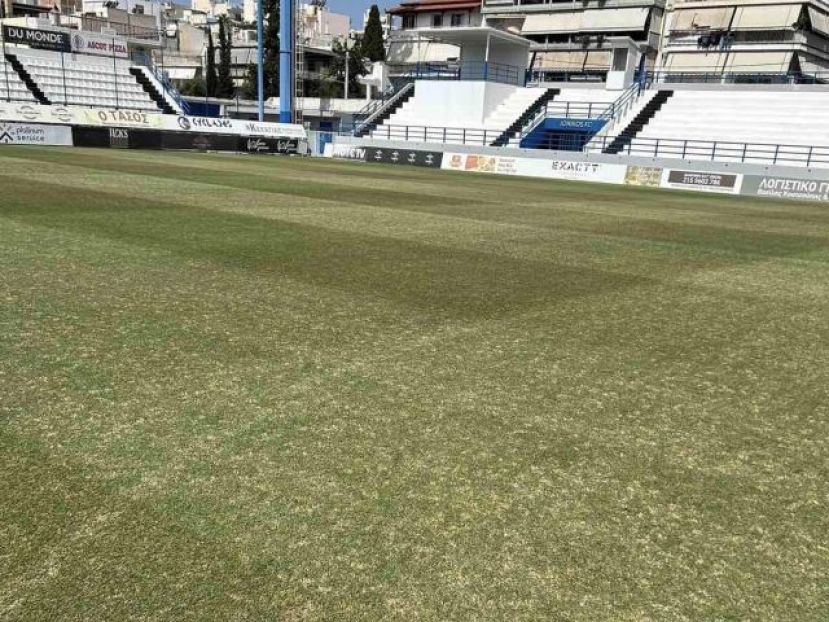 Ιωνικός: «Γήπεδο χωράφι» (pics)