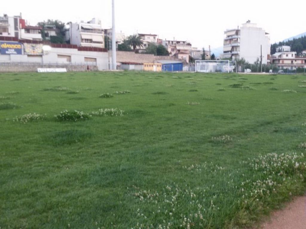 Βολές με ντοκουμέντα (photos)