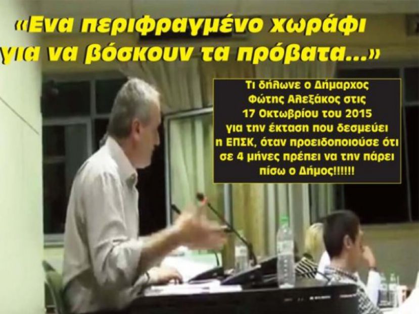 «Χωράφι για… πρόβατα» (video)