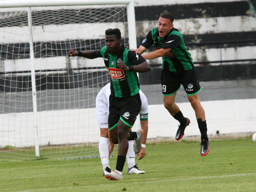 Πρωτοπόρος σε συγκομιδή