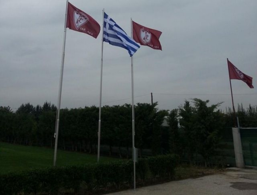«Τελευταίες λεπτομέρειες στα Δένδρα»