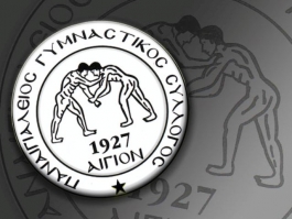 ΓΣ ο Ερασιτέχνης Παναιγιάλειος