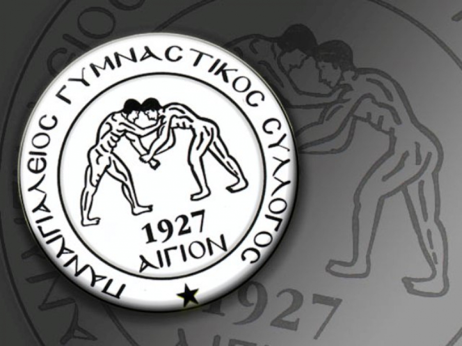 ΓΣ ο Ερασιτέχνης Παναιγιάλειος