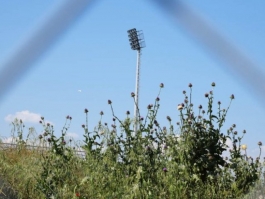 Σκέψεις παραίτησης