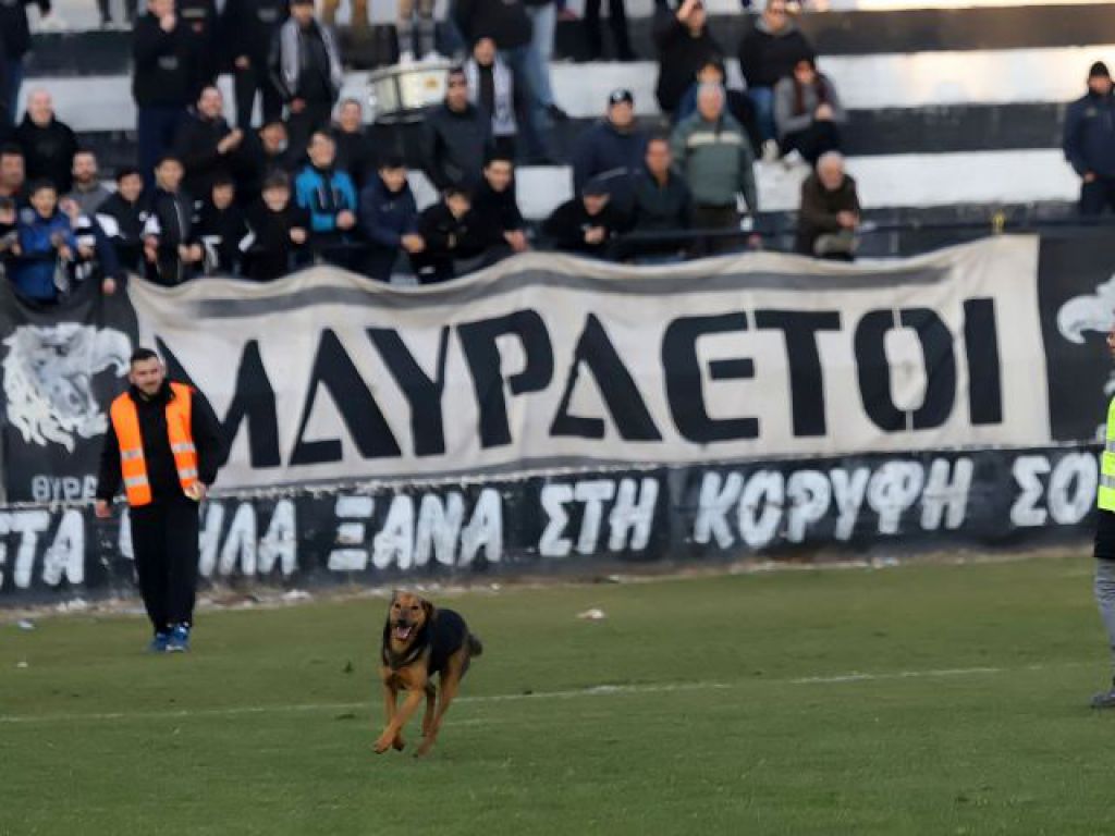 «Φαρσοκωμωδία» (pics)