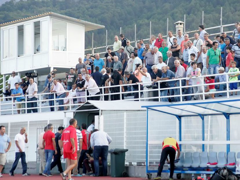 Ελκυστικός Πιερικός