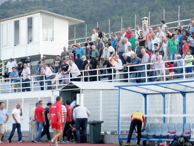 Ελκυστικός Πιερικός